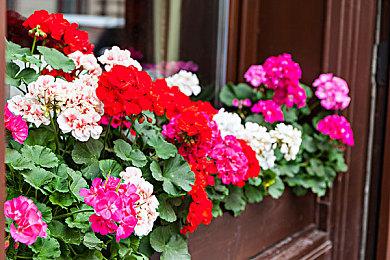 科幻冒险游戏《Infinitesimals》虚幻5演示 发售日期待定